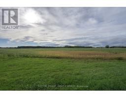 Other - 282 Marsh Line, Dutton/dunwich, ON N0L1J0 Photo 7