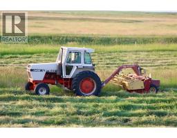 272079 Highway 547, Rural Foothills County, AB T0L0J0 Photo 18