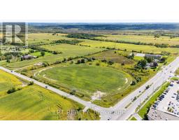 2359 Glenwoods Avenue, Georgina, ON L4P3E9 Photo 23