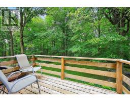 18061 Highway 48, East Gwillimbury, ON L0G1E0 Photo 24