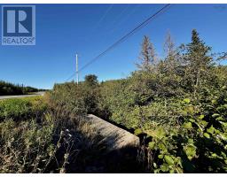 No 19 Highway, Judique North, NS B0E1P0 Photo 7