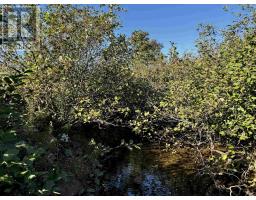 No 19 Highway, Judique North, NS B0E1P0 Photo 8