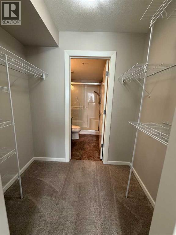 Walkthrough Closet in Primary Bedroom