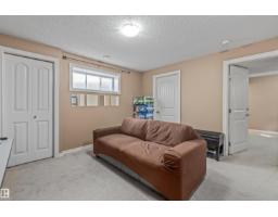 949 Valour Wy Nw, Edmonton, AB T5E6P2 Photo 17