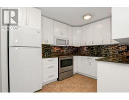 201 - 40 Landry Street, Ottawa, ON K1L8K4 Photo 11