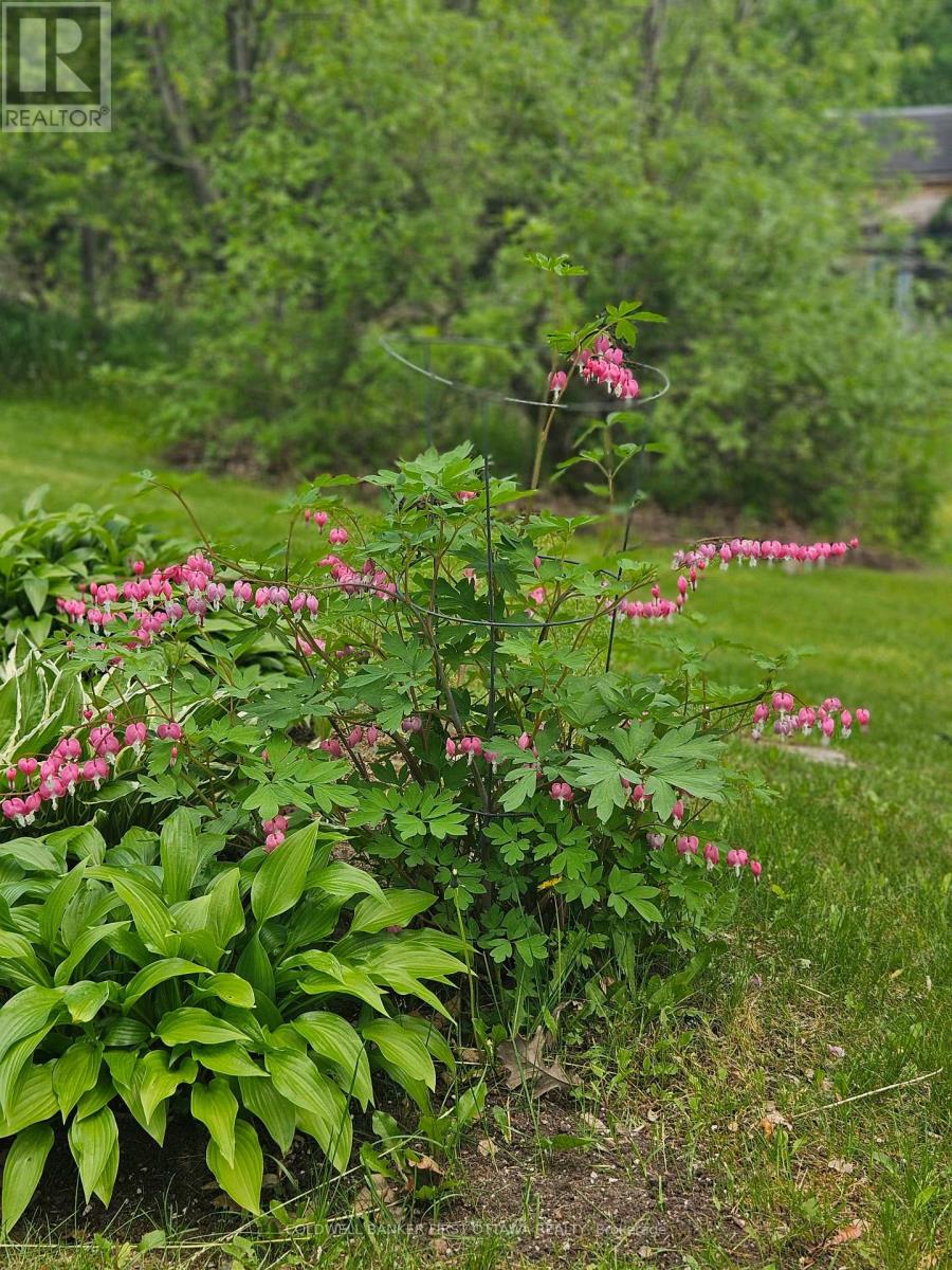 400 BUTTERMILK HILL ROAD - Image 33