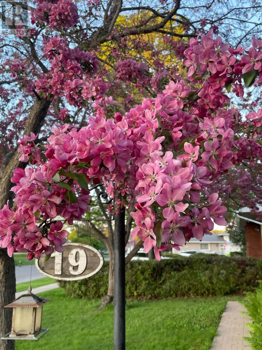 19 Illinois AVE - 39