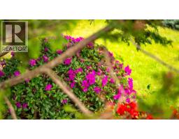 5989 Garvin Rd, Union Bay, BC V0R3B0 Photo 31