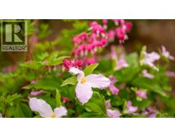 5989 Garvin Rd, Union Bay, BC V0R3B0 Photo 33