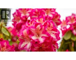 5989 Garvin Rd, Union Bay, BC V0R3B0 Photo 34
