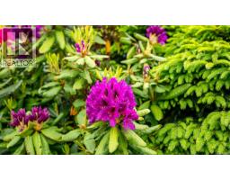 5989 Garvin Rd, Union Bay, BC V0R3B0 Photo 35