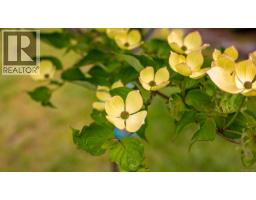 5989 Garvin Rd, Union Bay, BC V0R3B0 Photo 36