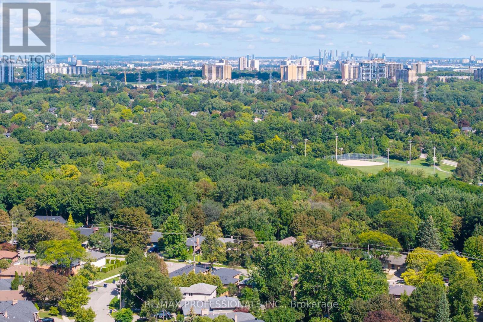 103 WEST DEANE PARK DRIVE - 49