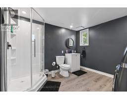 2328 Kerr Line, Whitewater Region, ON K0J1V0 Photo 16