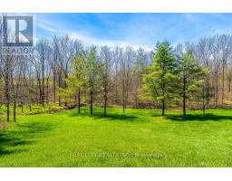 47 River Road, Brantford, ON N3R0C1 Photo 24