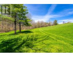 47 River Road, Brantford, ON N3R0C1 Photo 25