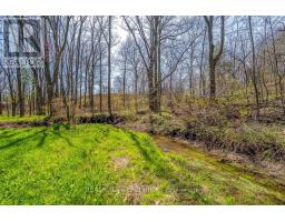 47 River Road, Brantford, ON N3R0C1 Photo 28
