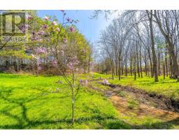 47 River Road, Brantford, ON N3R0C1 Photo 29