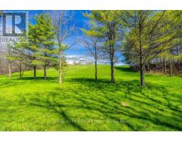 47 River Road, Brantford, ON N3R0C1 Photo 32