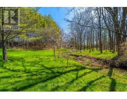 47 River Road, Brantford, ON N3R0C1 Photo 33