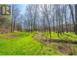 47 River Road, Brantford, ON N3R0C1 Photo 34