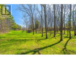 47 River Road, Brantford, ON N3R0C1 Photo 35