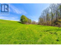 47 River Road, Brantford, ON N3R0C1 Photo 36