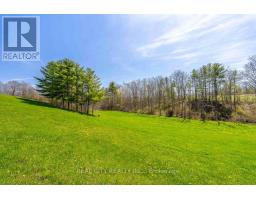 47 River Road, Brantford, ON N3R0C1 Photo 40