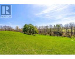 47 River Road, Brantford, ON N3R0C1 Photo 41