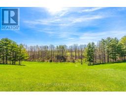 47 River Road, Brantford, ON N3R0C1 Photo 42