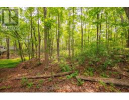 110 Fire Route 367, Trent Lakes, ON K0M2A0 Photo 11
