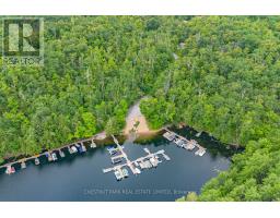 110 Fire Route 367, Trent Lakes, ON K0M2A0 Photo 42