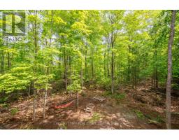 110 Fire Route 367, Trent Lakes, ON K0M2A0 Photo 44