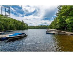 110 Fire Route 367, Trent Lakes, ON K0M2A0 Photo 49