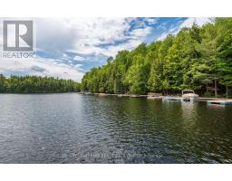110 Fire Route 367, Trent Lakes, ON K0M2A0 Photo 50