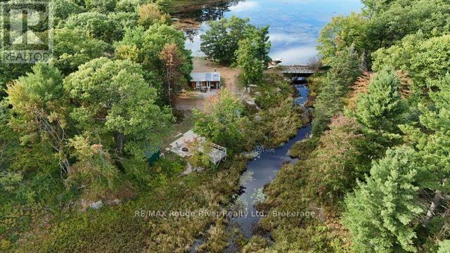 0 COUNTY ROAD 46 ROAD N, Havelock-Belmont-Methuen — photo 2