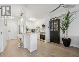 Laundry room - 1006 - 81 Millside Drive, Milton, ON L9T3X4 Photo 7