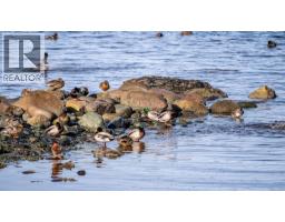 1426 Wilkinson Rd, Comox, BC V9M4B3 Photo 8