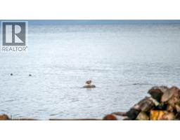 1426 Wilkinson Rd, Comox, BC V9M4B3 Photo 60
