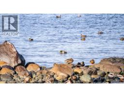 1426 Wilkinson Rd, Comox, BC V9M4B3 Photo 50
