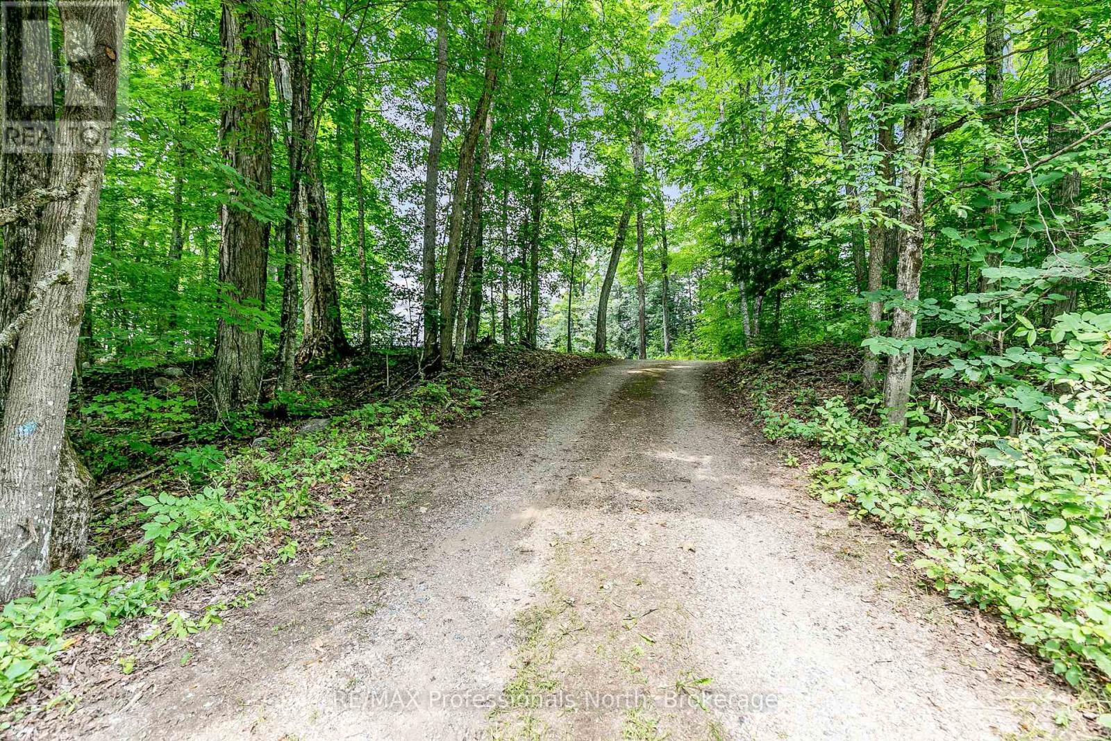 1813 KASHAGAWIGAMOG LAKE ROAD - 34