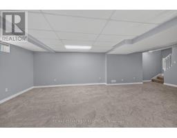 69 Natalia Avenue, Hamilton, ON L0R1W0 Photo 25