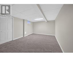 69 Natalia Avenue, Hamilton, ON L0R1W0 Photo 28