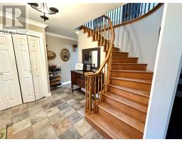 21 Sheppard Street thumbnail 19