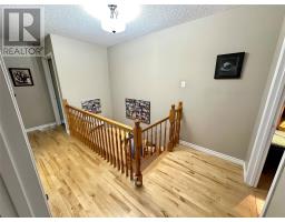 21 Sheppard Street thumbnail 49