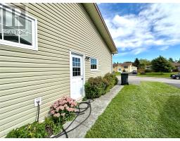 21 Sheppard Street thumbnail 9