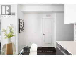 528 - 543 Richmond Street W, Toronto, ON M5V0W9 Photo 10