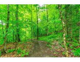 66 Ch. Du Ruisseau, Val Des Monts, QC J8N2B6 Photo 21