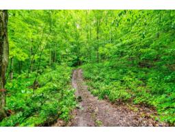 66 Ch. Du Ruisseau, Val Des Monts, QC J8N2B6 Photo 22