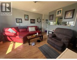 4820 17 Avenue, Edson, AB T7E1V6 Photo 19
